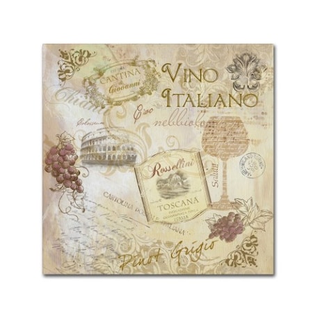 Fiona Stokes-Gilbert 'Italian Wine' Canvas Art,14x14